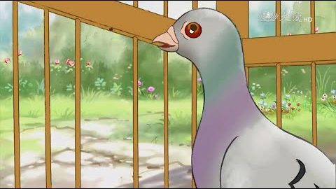 No.62 落网之鸟