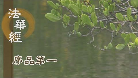 《法華經 序品第一》- 靜思清澄妙蓮華 - 第7集