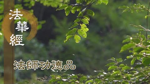 由持經故 見依正報 - 第1658集