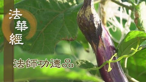 清淨鼻根 聞種種香 - 第1675集