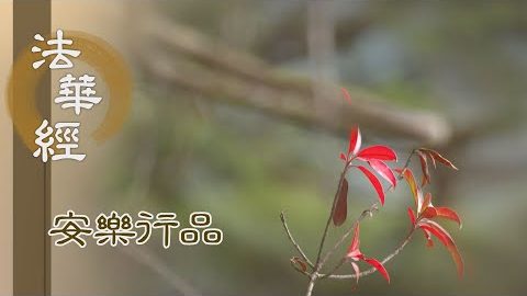 四種不近 隨宜說法 - 第1391集