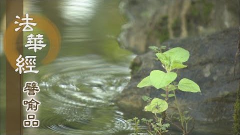 《法華經 譬喻品》入佛法藏 發願承擔 - 第613集