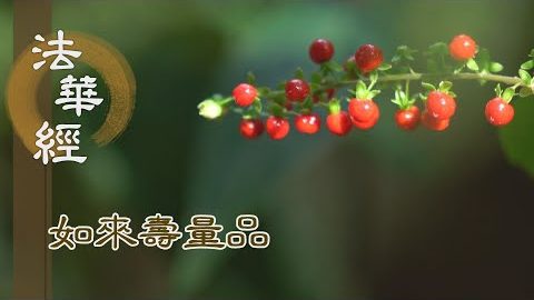 勸服法藥 苦患速除 - 第1539集