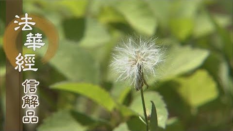《法華經 信解品》總持善法 化導眾生 - 第863集