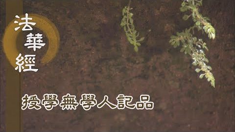 《法華經 授學無學人記品》- 阿難護法 受記無量 - 第1178集