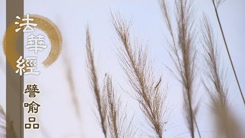 《法華經 譬喻品》善法如水 轉大法輪 - 第486集