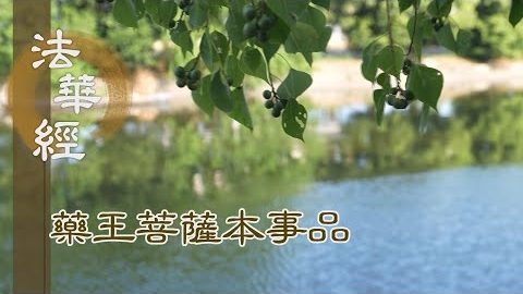 《法華經 藥王菩薩本事品》眼根清淨 見諸如來 - 第1865集