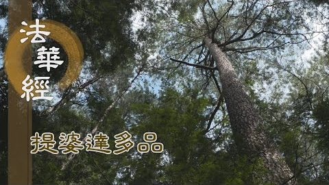 《法華經 提婆達多品》- 身心無倦 勤求妙法 - 第1325集