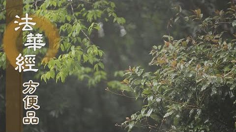 願為如實說 - 第257集