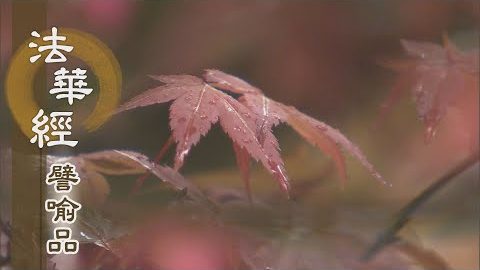 《法華經 譬喻品》菩薩六度 去來自在 - 第559集