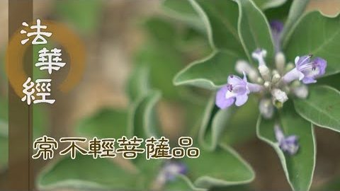 《法華經 常不輕菩薩品》身心無倦 成就忍力 - 第1760集