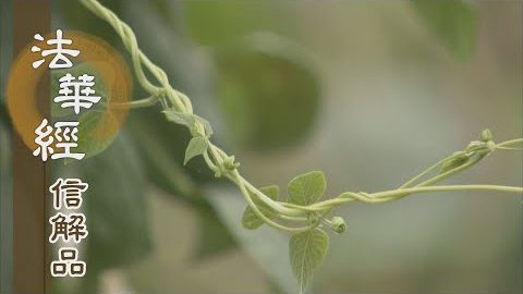 《法華經 信解品》不受大化 不含萬德 - 第758集