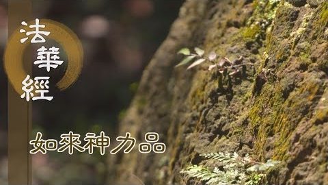 《法華經 如來神力品》通達無我 真是菩薩 - 第1782集