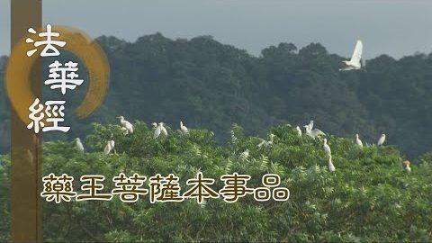《法華經 藥王菩薩本事品》第一之施 以法供養 - 第1824集