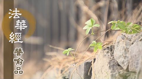 《法華經 譬喻品》覺四相苦 恆持正念 - 第585集