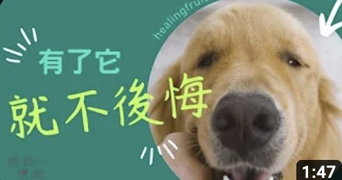 有了它-就不後悔