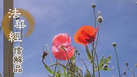 《法華經 信解品》斷見修惑 出離三界 - 第770集