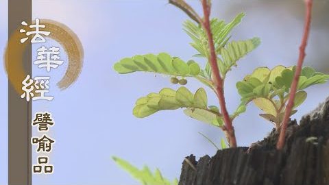 《法華經 譬喻品》秉慈運慧 斷諸疑網 - 第480集