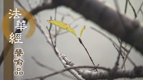 《法華經 譬喻品》惡蟲橫走喻瞋惱 - 第620集
