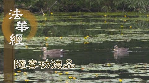 自度度彼 悟道自在 - 第1628集