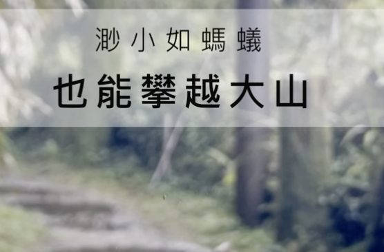 渺小如螞蟻-也能攀越大山