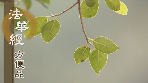 佛陀的心願 - 第362集