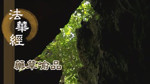 《法華經 藥草喻品》 - 根性利鈍 說法無量 - 第891集