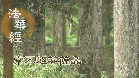 《法華經 常不輕菩薩品》於法無畏 得大勢力 - 第1731集