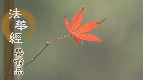 《法華經 譬喻品》三界火宅 無明為因 - 第538集