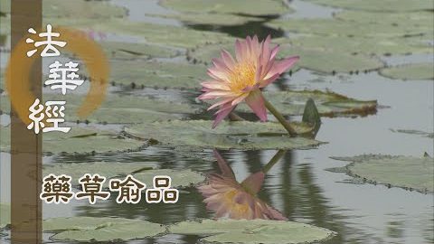 《法華經 藥草喻品》 - 雨無差別 隨分受潤 - 第879集