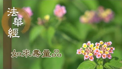 入無上慧 成就佛身 - 第1555集
