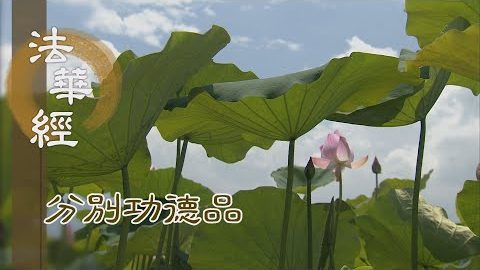 深信正法 猶處靈山 - 第1594集