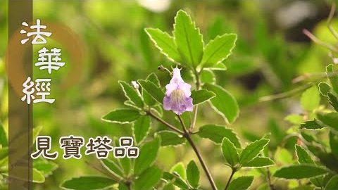 《法華經 見寶塔品》- 三變淨土 容盡諸佛 - 第1282集