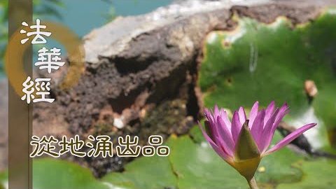 通達正道 世第一法 - 第1502集